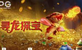 bwin必赢登录入口app官网2024最新版